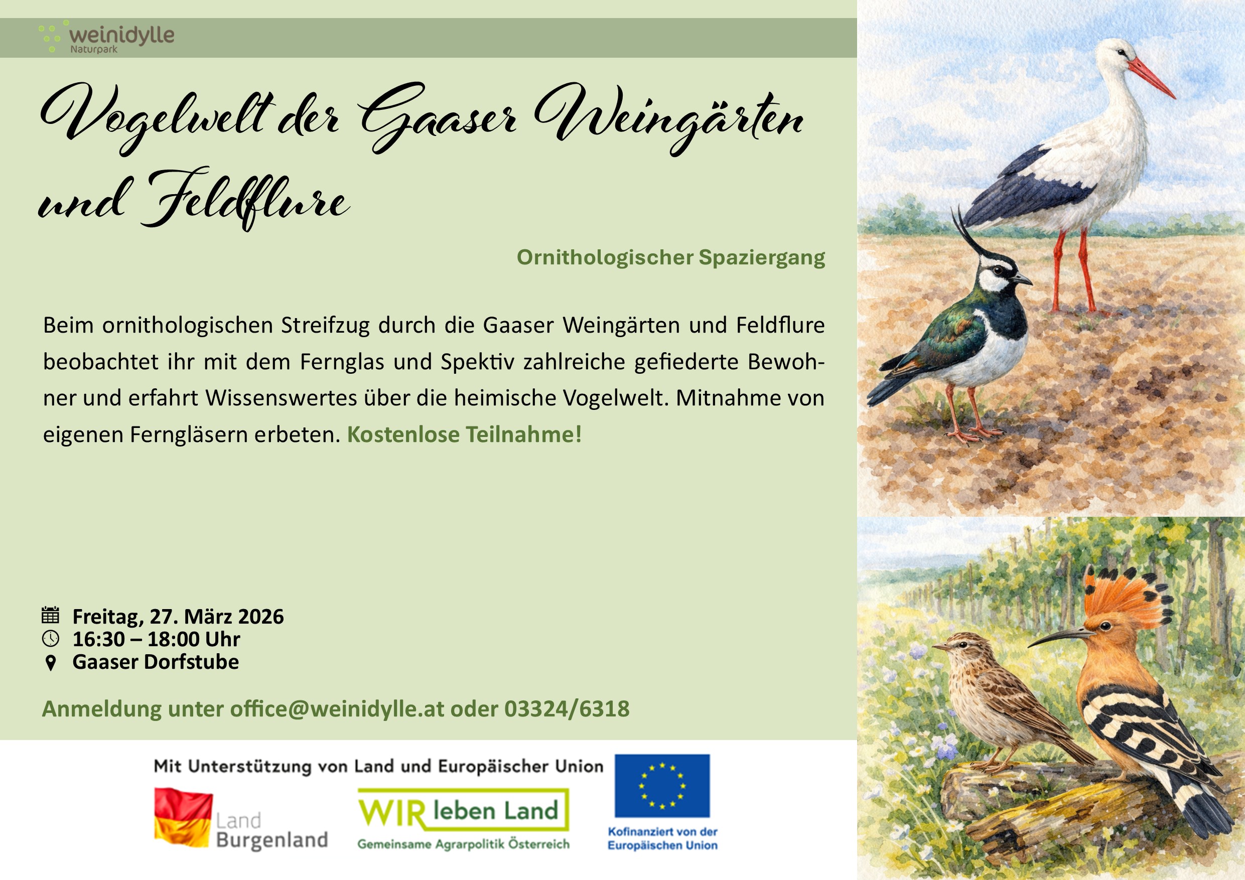 Ornithologischer Spaziergang Gaas