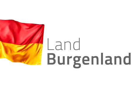 Logo Land BGLD Flagge 2 zu 3