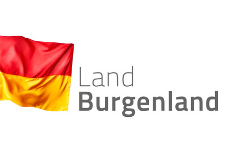 Logo Land BGLD Flagge 2 zu 3 neu