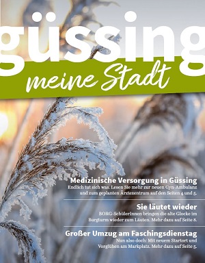 Stadtzeitung Ausgabe Jänner 2025